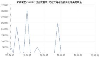 宋城演艺 300144 支付其他与投资活动有关的现金